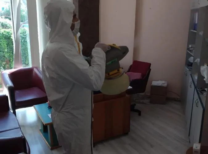 Kleopatra Sunlight 3* ألانيا