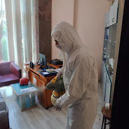 Kleopatra Sunlight 阿拉尼亚